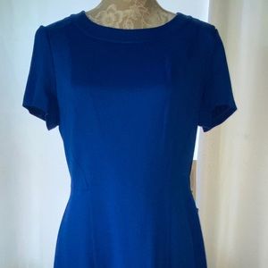 Eliza J Blue Dress